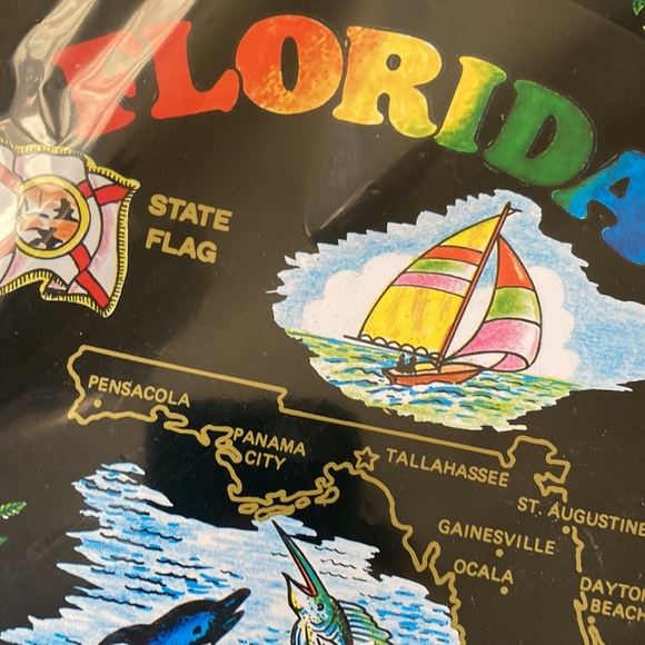 Nip Vintage Florida Metal Tray - Picture 6 of 6